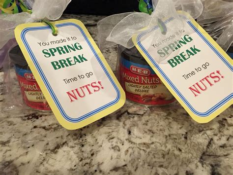 Spring Break Teacher Ts Assorted Nuts Easter Teacher Ts
