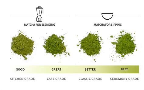 Strictly organically grown and carefully hand picked. About Matcha - Matcha Source