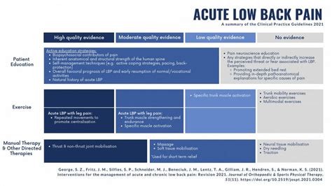 Low Back Pain Updated Clinical Practice Guideline PhysioX Pte Ltd