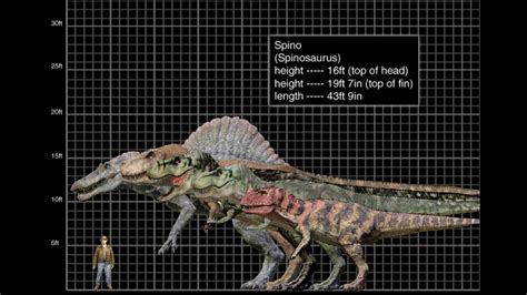 I Made Size Chart For The Larger Theropods From The Original Films All