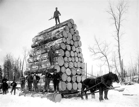 Late 1800s Logging A Huge Load Of Logs Vintage Photograph Etsy