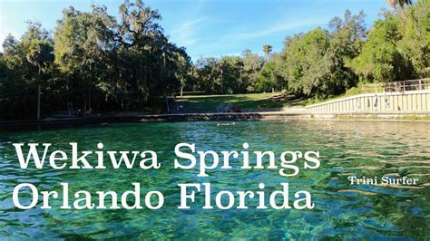Wekiwa Springs Part Of Wekiwa Springs State Park In Orlando Florida