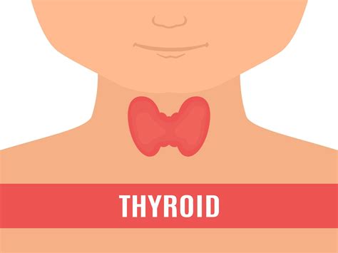 Thyroid Disease In Kids Symptoms Diagnosis And Treatment