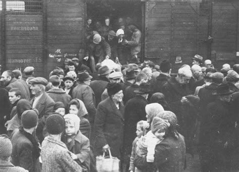 The Arrival Auschwitz