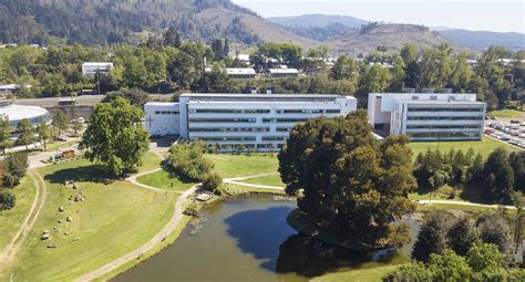 Somos Uct Admisión Uc Temuco