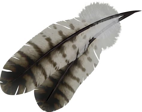 Transparent Clipart Native American Feathers 10 Free Cliparts