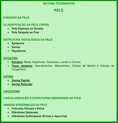 Sistema Tegumentar Histologia De Órgãos E Sistemas