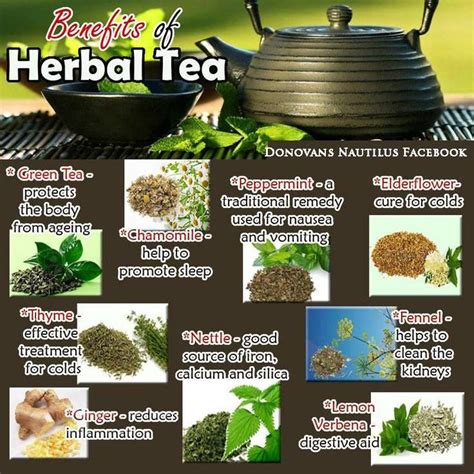 Benefits Of Herbal Tea Which Is Your Favorite Tea Here Herbal Tea