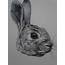 Drawing Cool Animal Images  26 Stunning Drawings Of Animals Made From