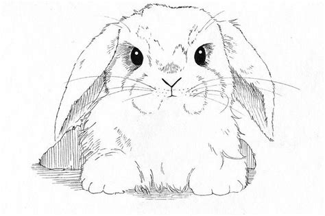 sketch bunny ears coloring pages