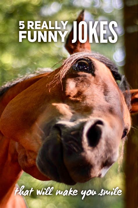 5 really funny jokes that will make you smile - Roy Sutton
