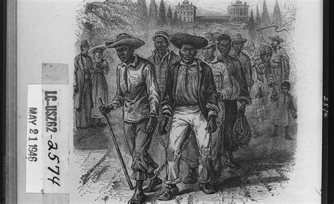 ‘their Pain Was Unparalleled How Slaves Helped Build Democracys