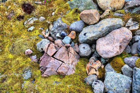 Stones And Moss In South Iceland Stock Image Image Of Beautiful
