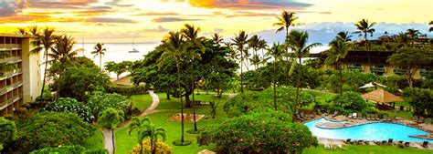With options to book now and pay when you stay, you have peace of mind. Maui Accommodations Guide | Kaanapali Beach Hotel Maui