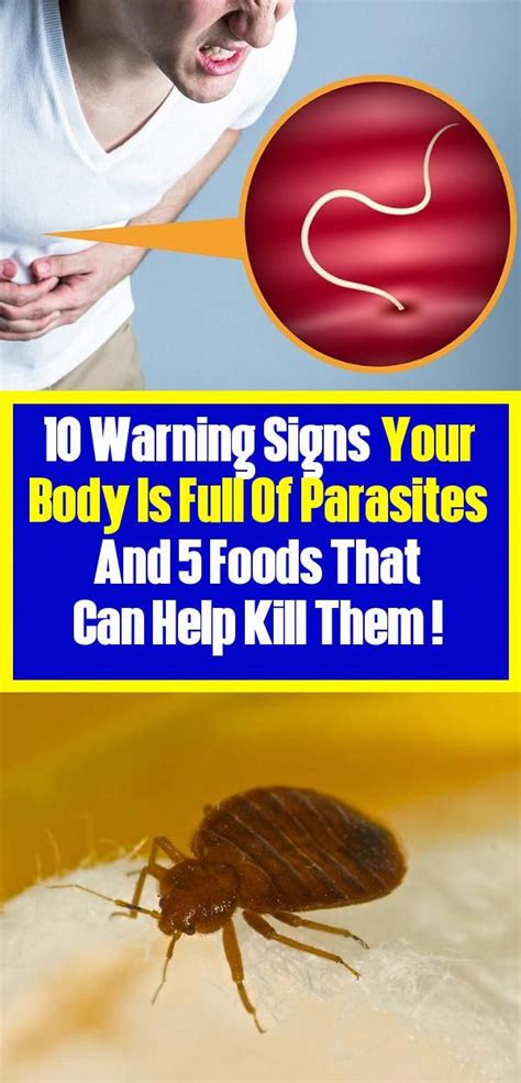 Signs That Show Your Body Is Full Of Parasites