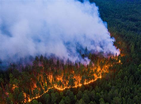 Summer 2020 Arctic Wildfires Break Carbon Emissions Records The