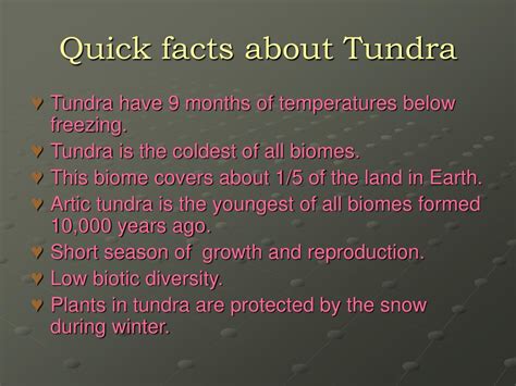 Tundra Facts