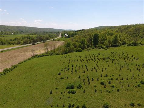 121 Acres Farmland And Recreational Land In Berkshire Ny New York Farm Quest