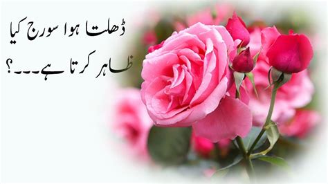 Aqwal E Zareen In Urdu Urdu Quotes Hazrat Ali Ky Aqwal Urdu