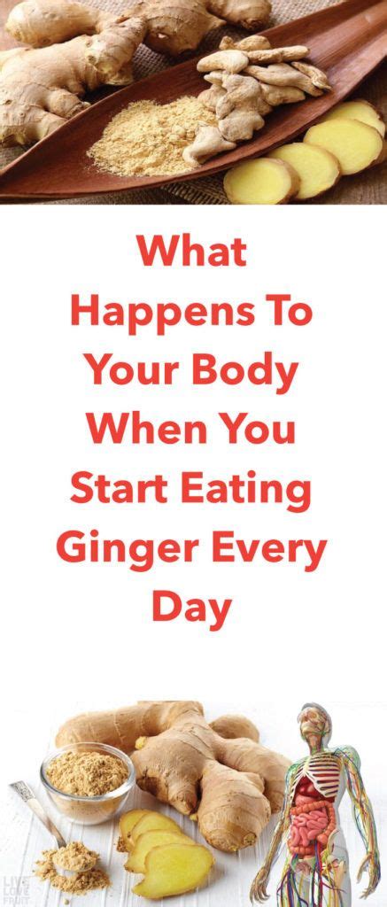What Happens To Your Body When You Start Eating Ginger Every Day Topwelltip