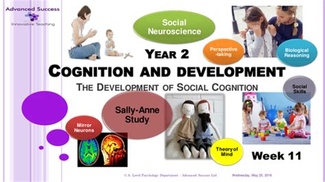 Year 2 Powerpoint Week 11 Option 1 Cognition And Development The