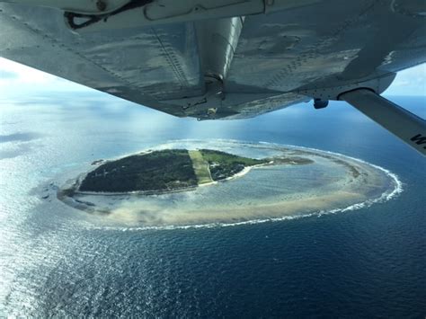 Top 5 Reasons To Visit Lady Elliot Island Ultimate Adventures With Sandy