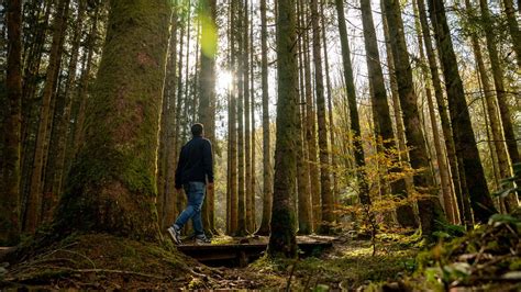 Embrace the great outdoors in autumn | La Bourgogne