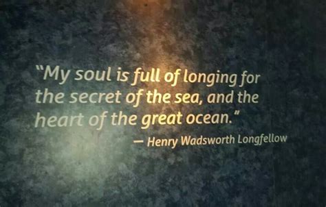 They act detached and aloof most of the times which makes them temperamental. I stumbled across this beautiful quote today at the Georgia Aquarium... it totally sums up ...