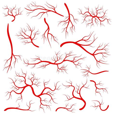 Creative Illustration Of Red Veins Isolated On Background Human Vessel