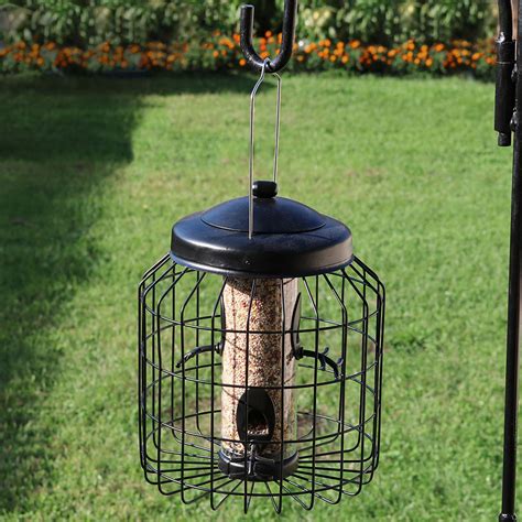 Black 4 Peg Squirrel Proof Wild Bird Feeder ¬ 12” Water Fountains