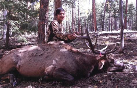 Shoot Navajo Nation Hunt