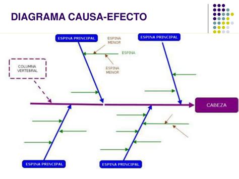 Diagrama Causa Efecto Ejemplo