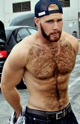 Shirtless Male Muscular Beefcake Beard Hairy Chest Abs Hunk Guy Photo X F Ebay