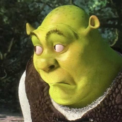 Shrek Meme Profile Picture