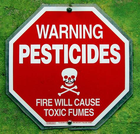 The Disadvantages And Advantages Of Pesticides Writework