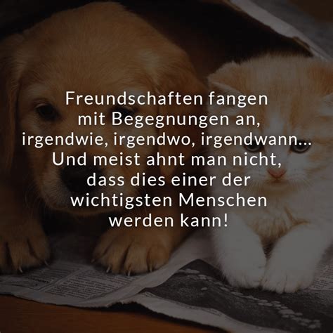 Und du wirst fünfzig jahre leben. darauf entgegnete der esel: ᐅ Beliebte beste Freunde Sprüche