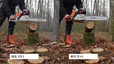 Chainsaw Stihl Ms 251 And Ms 390 Youtube