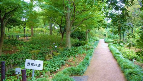 赤塚植物園（植物園）｜TOKYOおでかけガイド