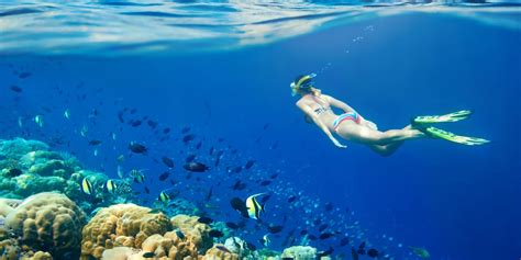 Snorkeling Trip In Hurghada Egypt Tours Portal Uk