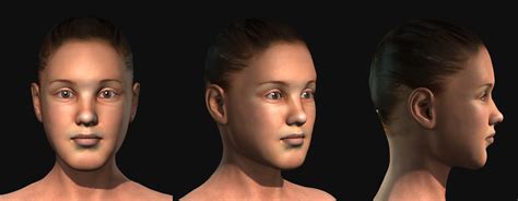3d Heads For 3d Charactor Creation Realistic Human 100