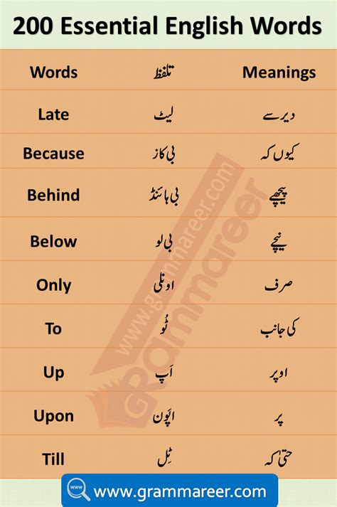 Pin On English Words Meaning In Urdu