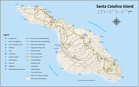 Maps Of Avalon And Catalina Island Visit Catalina Island