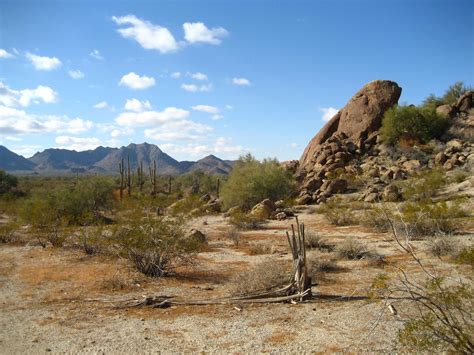 Sonoran Desert One Earth