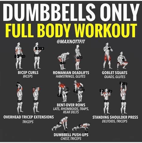 The Minute Dumbbell Workout Program To Build Muscle Dumbbell Workout Plan Full Body