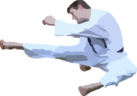 Free Vector Graphic Karate Kick Jumping Martial Free Image On