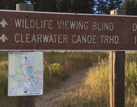 Clearwater River Canoe Trail Seeley Lake All You Need To Know