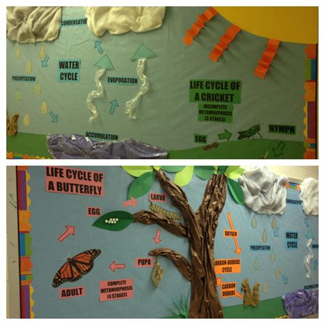 2nd Bulletin Board Left Side In Very Hungry Caterpillar Theme