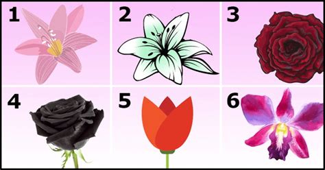 Discover What Your Favorite Flower Say About Your Personality