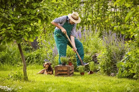 Home gardens take on many forms, from a few plants in containers to large garden plots in the the benefits of a home garden make the physical exertion and costs of gardening worth the effort. Benefits Of Owning A Garden - Why You Should Start Yours
