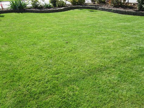 Hydroseeding is an effective way to cover a large area with lawn. Hydroseeding in Vancouver, Maple Ridge, Coquitlam, Surrey whyhydroseed